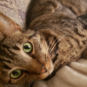 Fundraising Page: Maureen McCarthy